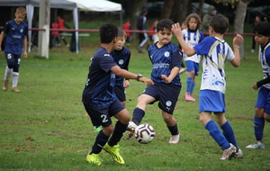 U11A STADE BLAYAIS - COUTRAS