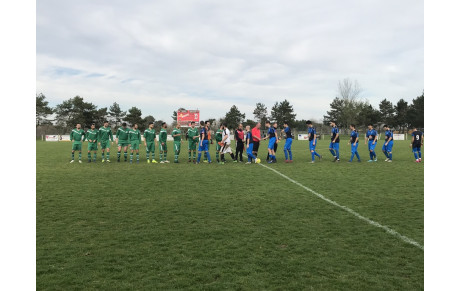 Seniors 1: La belle série continue 